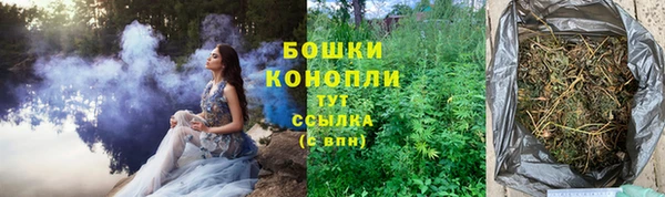 гидра Балабаново